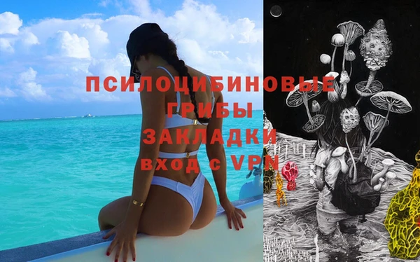 гидра Беломорск