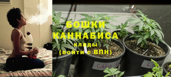 spice Белокуриха