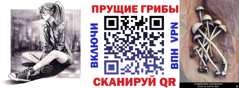дарнет шоп  Окуловка  Галлюциногенные грибы ЛСД 